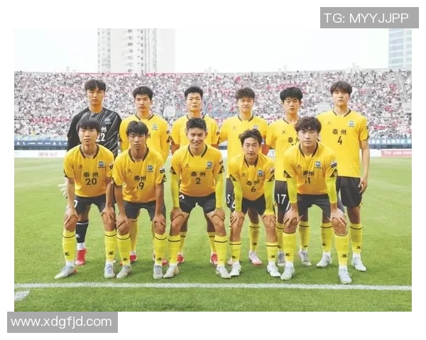 足球巨星什么瓦的传奇之路与绿茵场上的荣耀与永不言弃的奋斗精神